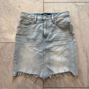 Hudson Lulu Skirt